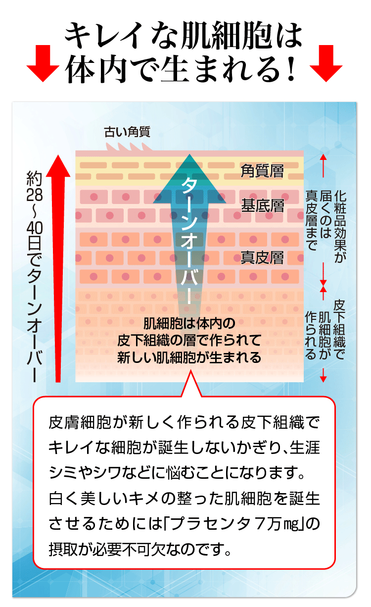 プラセンタ 効果 肌