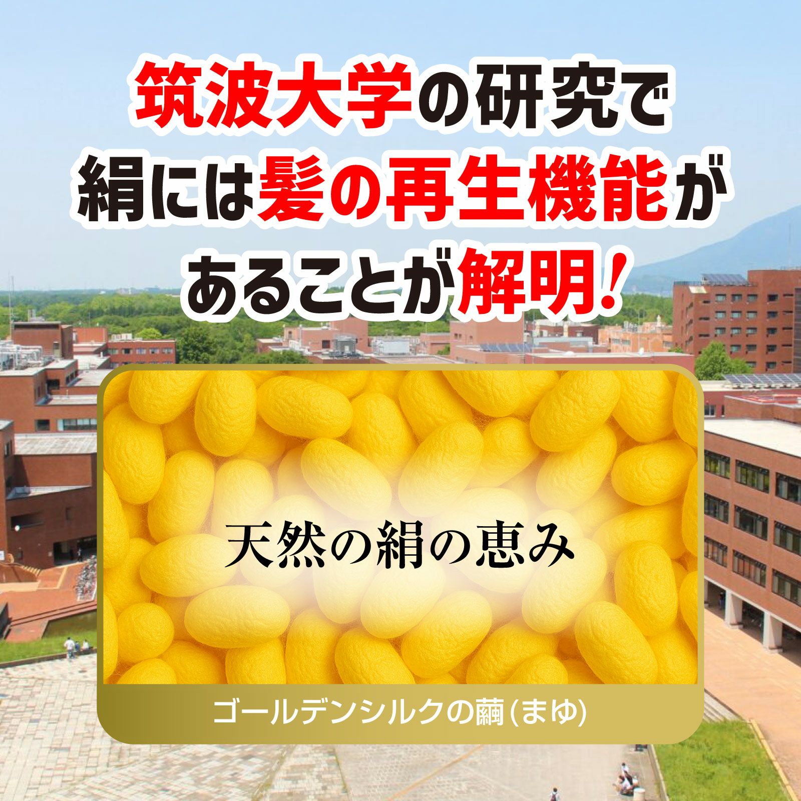 絹の艶姫ゴールデンシルク石鹸